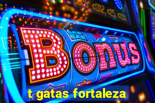 t gatas fortaleza